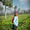 Ira Wibowo