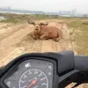 foto unik, foto aneh, foto lucu, foto keren