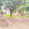 Rumah Abiem Ngesti Pangeran Dangdut Terbengkalai