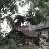 rumah ki joko bodo
