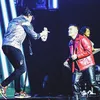 Konser Gigi
