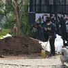 Eril meninggal dunia
