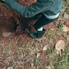 Hamish Daud dan Zalina Berkebun