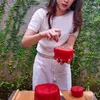 Laura Theux Bikin Watermelon Cake