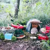 Landak Mini