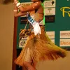 Puteri Indonesia 2009