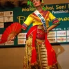 Puteri Indonesia 2009