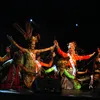 Puteri Indonesia 2011