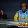 max don dj