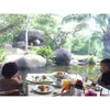 Dian Sastro