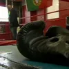 Mike Tyson