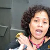 mira lesmana
