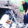 Demi Bangsa