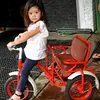 Safeea, Dhani