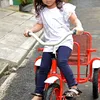 Safeea, Dhani