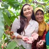 Nafa Urbach