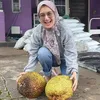 Nama Asli Penyanyi Dangdut