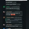 DJ Panda Buka Suara Erika Carlina Hamil