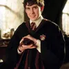 Foto Neville Longbottom - Matthew Lewis
