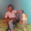 Pria Ditemani King Kobra