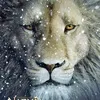 Narnia: The Voyage of The Dawn Treader