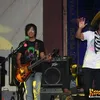 nidji