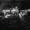 Oasis