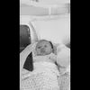 Anak Olivia Zalianty