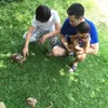 olla ramlan, aufar hutapea