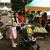 seleb belanja ke pasar, seleb belanja ke pasar tradisional