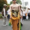 Artis Pandawa Lima