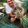 Meme Selebriti, Meme James Franco