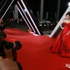 Red Carpet AMI 2016 