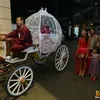 Cinta Penelope