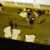 Teror di Paris