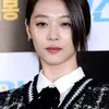 Sulli f(x)