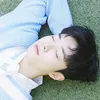 nam da reum