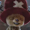 Penampakan wujud Chopper One Piece Live Action 