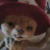 Penampakan wujud Chopper One Piece Live Action 