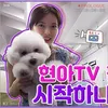 k-pop youtube