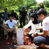 Pemakaman Ibu Ibnu Jamil penyebab Meninggal