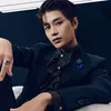 Perjalanan Karier Taeil 