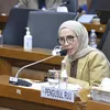 Melly Goeslaw di Rapat Dengar Pendapat Umum