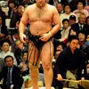 Fakta Unik Sumo