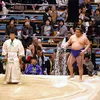 Fakta Unik Sumo