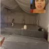 Kaesang Pangarep dan Erina Dugono