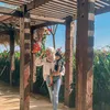 melody prima