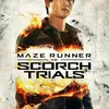 THE MAZE RUNNER 2