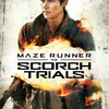 THE MAZE RUNNER 2