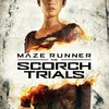 THE MAZE RUNNER 2